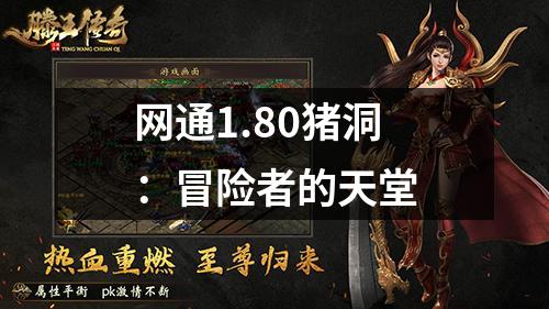 网通1.80猪洞：冒险者的天堂