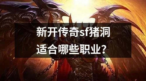 新开传奇sf猪洞适合哪些职业？