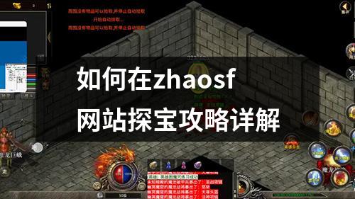 如何在zhaosf网站探宝攻略详解